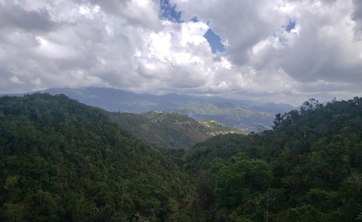 Fifth image of Lot 13 Maverly Mountain, Swan s in Kingston 19, St. Andrew, Jamaica - property is For Sale