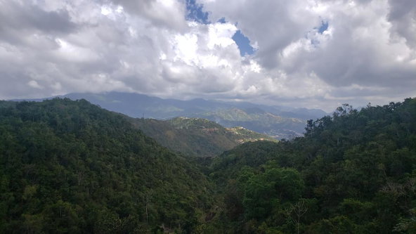 Fifth image of Lot 13 Maverly Mountain, Swan s in Kingston 19, St. Andrew, Jamaica - property is For Sale