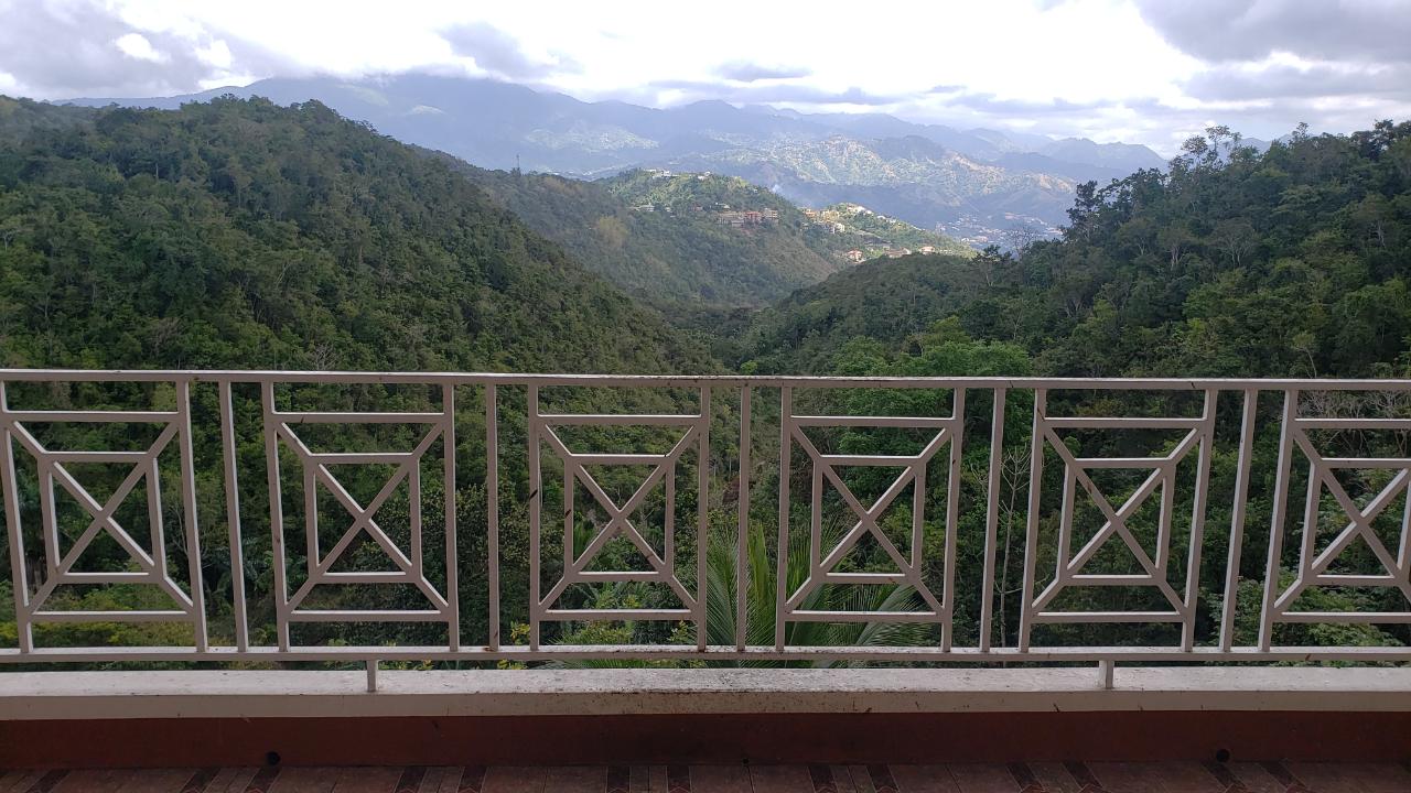 Sixth image of Lot 13 Maverly Mountain, Swan s in Kingston 19, St. Andrew, Jamaica - property is For Sale