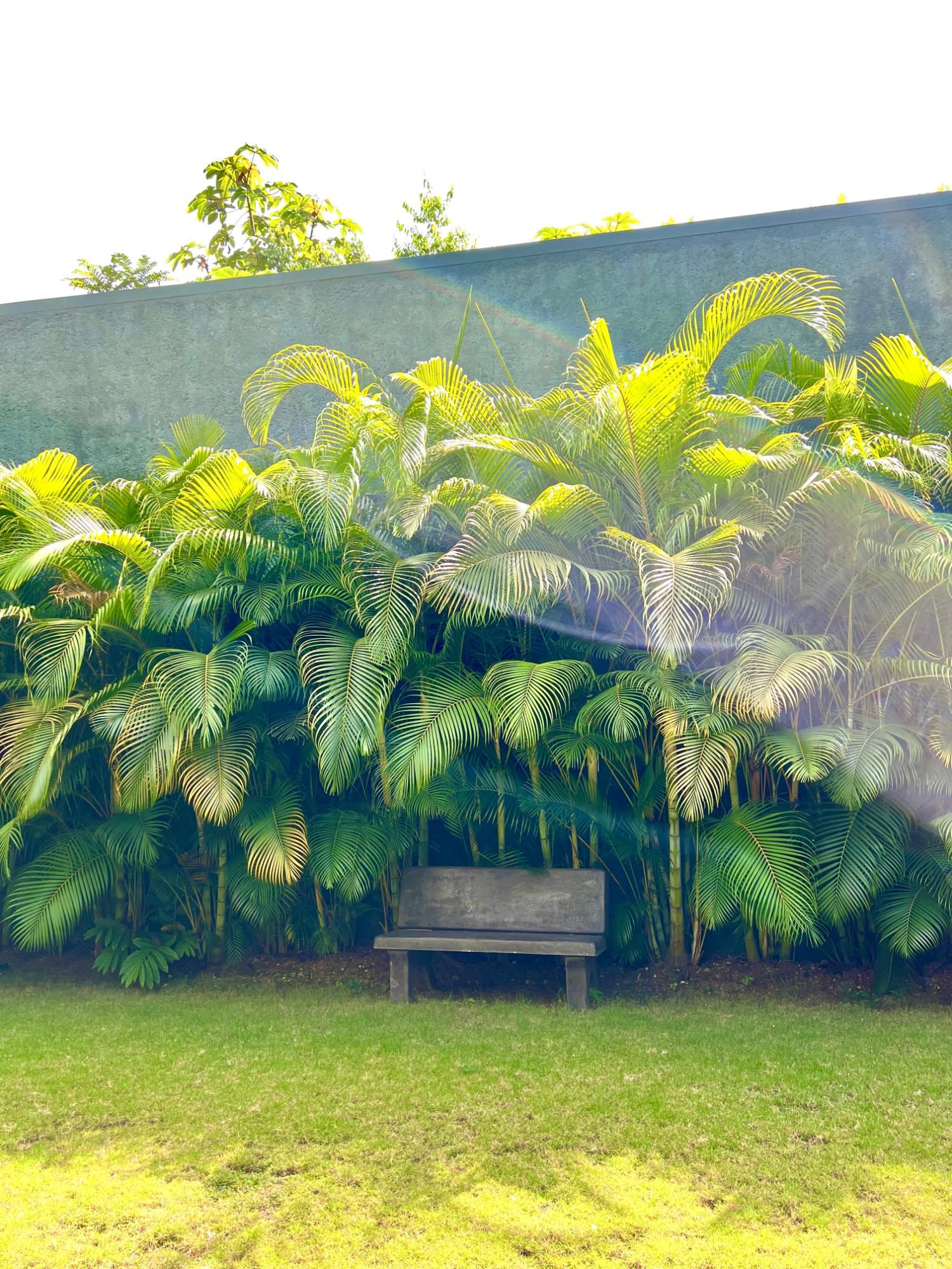 Fourteenth image of 8-238 Mannings Hill Road in Stony Hill P.O., St. Andrew, Jamaica - property is For Rent