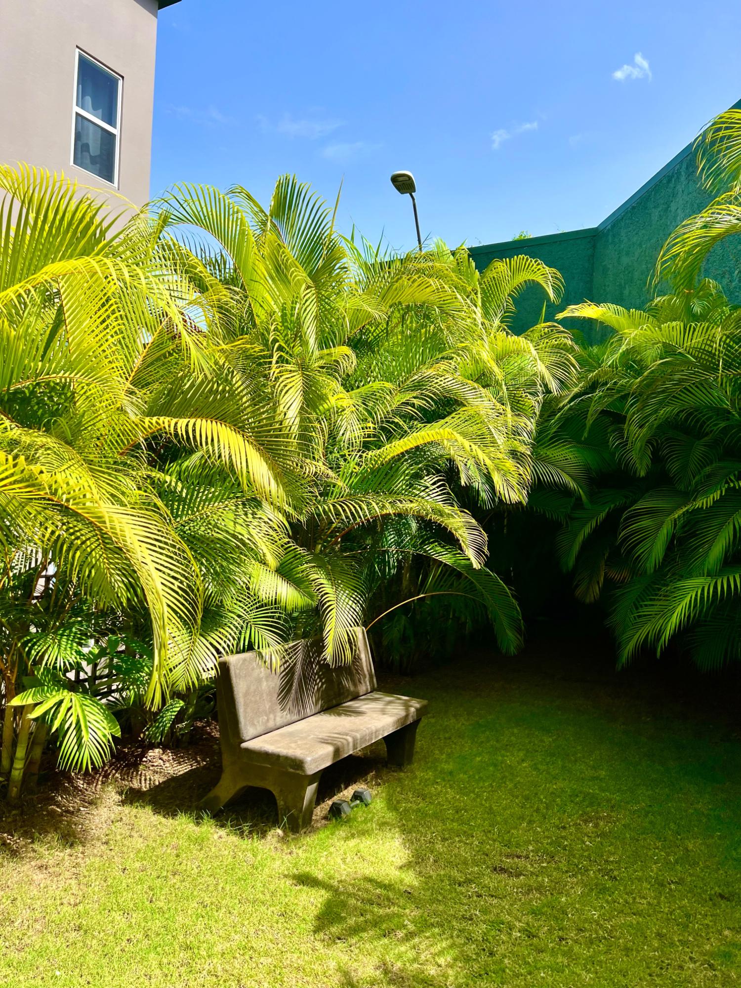 Fifteenth image of 8-238 Mannings Hill Road in Stony Hill P.O., St. Andrew, Jamaica - property is For Rent