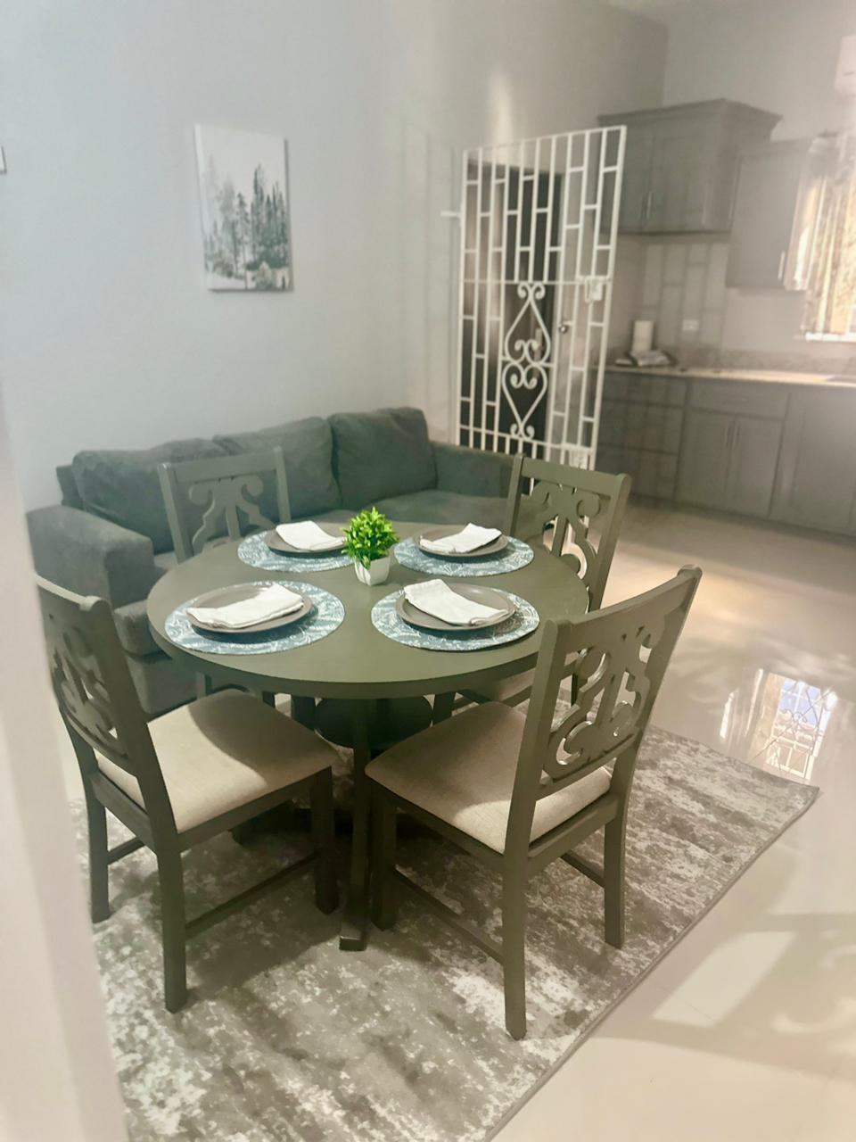 Modern-2-Bedroom-Apartment-for-Rent-in-Coral-Spring-Village-Trelawny Seventh image of 203 Ibis Place Coral Spring t in Falmouth, Trelawny, Jamaica - property is For Rent