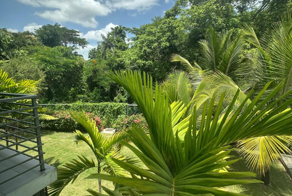 Twenty-Third image of 25-27 Millsborough Avenue in Kingston 6, St. Andrew, Jamaica - property is For Rent