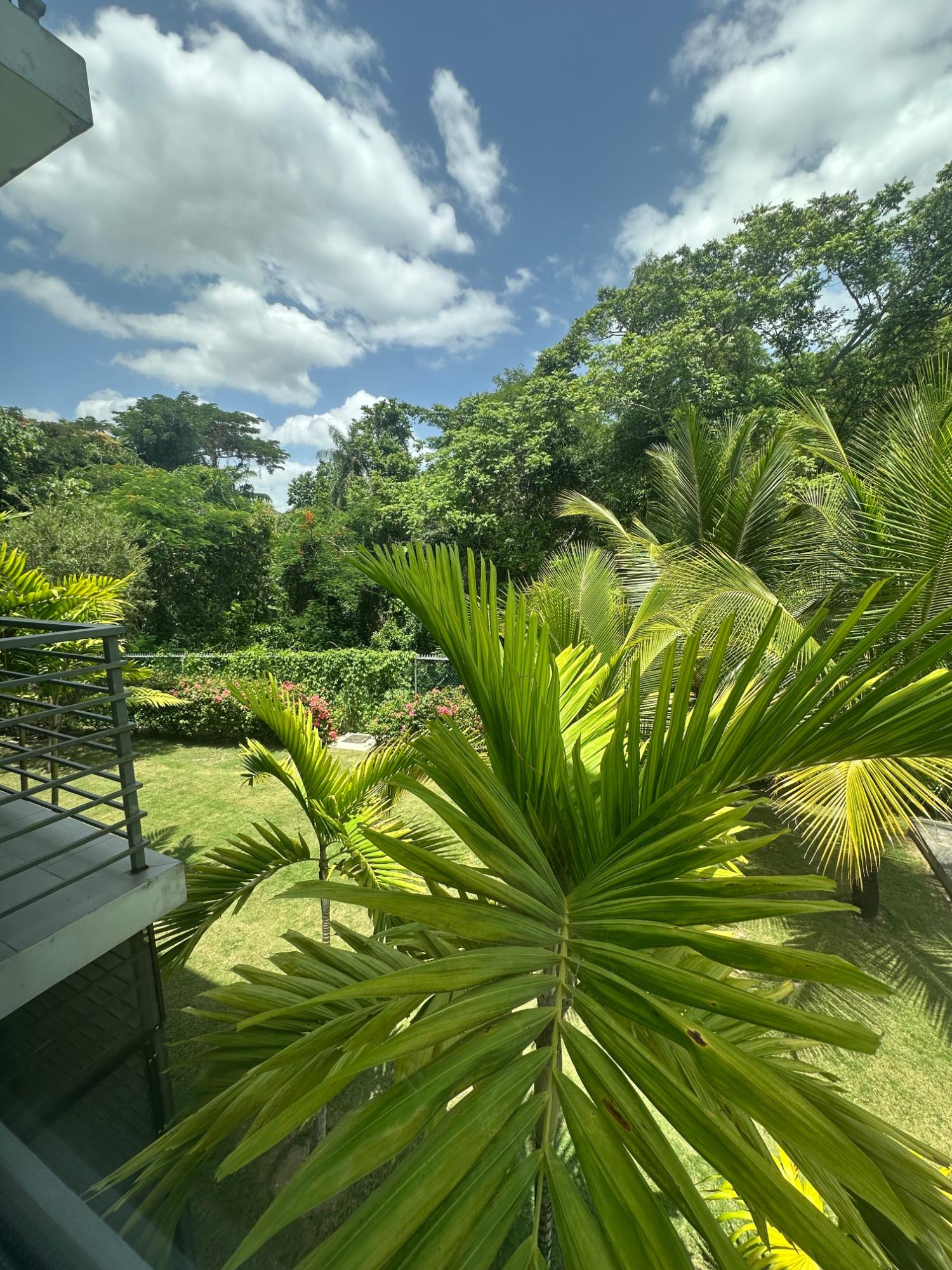 Twenty-Third image of 25-27 Millsborough Avenue in Kingston 6, St. Andrew, Jamaica - property is For Rent