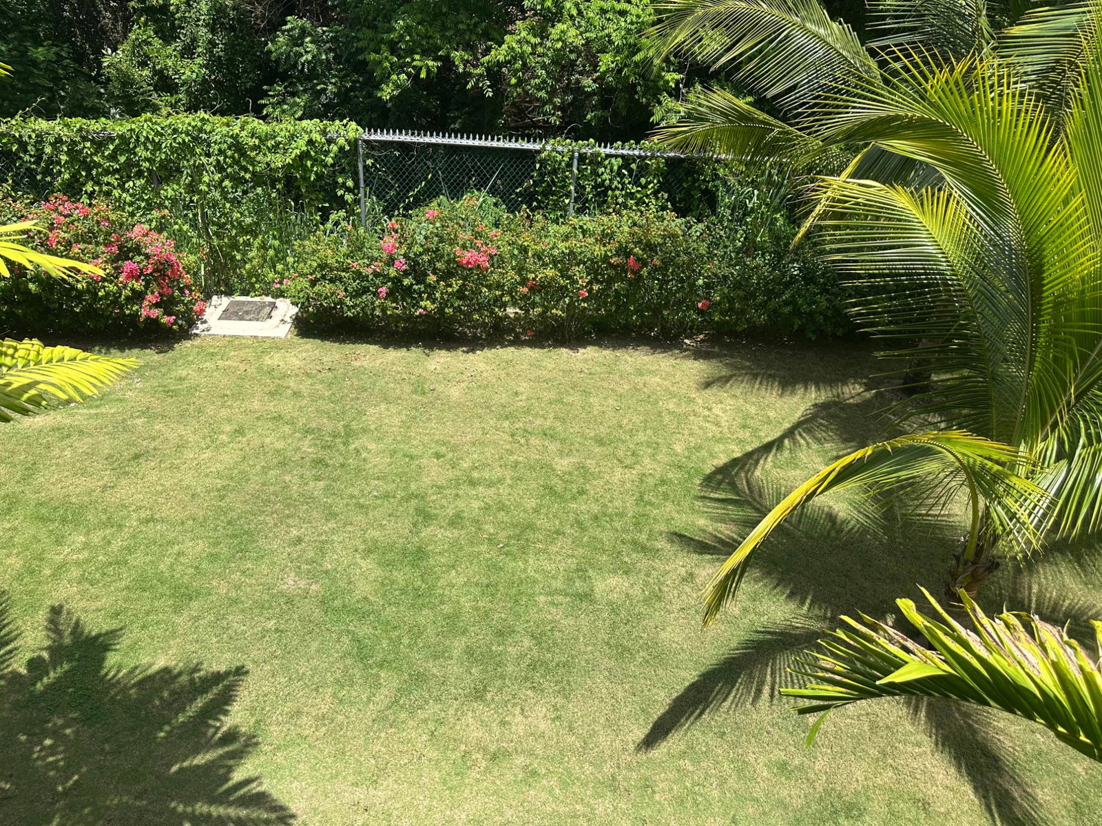 Twenty-Seventh image of 25-27 Millsborough Avenue in Kingston 6, St. Andrew, Jamaica - property is For Rent