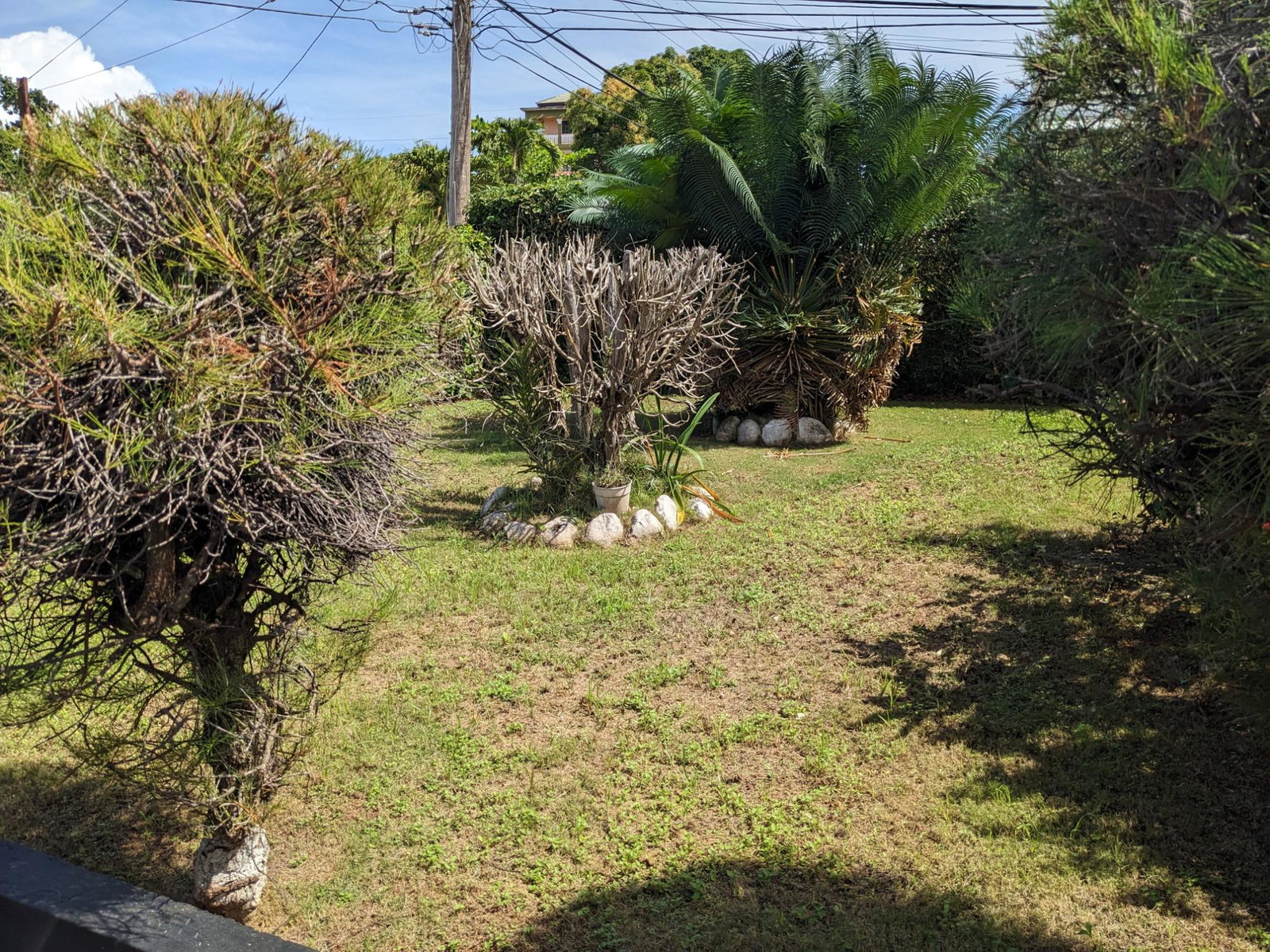 Twenty-Fifth image of River View Exchange in Ocho Rios, St. Ann, Jamaica - property is For Sale