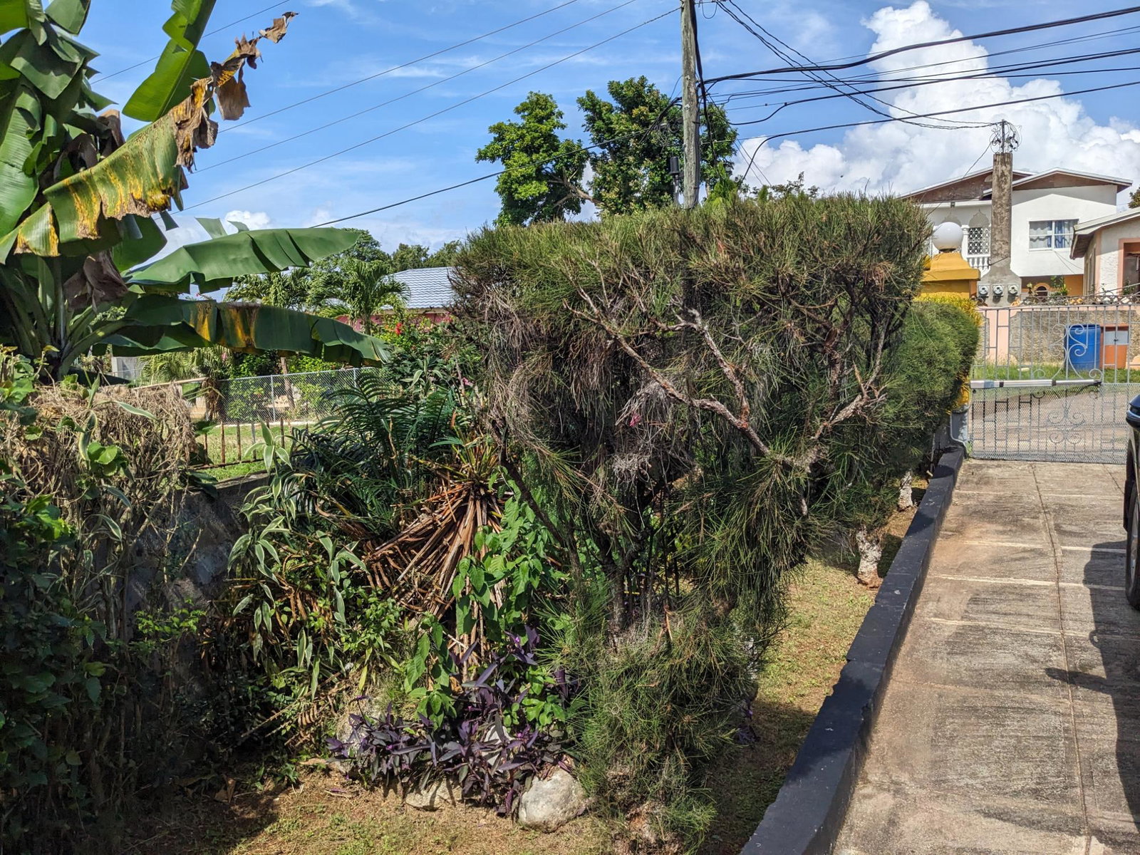 Twenty-Sixth image of River View Exchange in Ocho Rios, St. Ann, Jamaica - property is For Sale