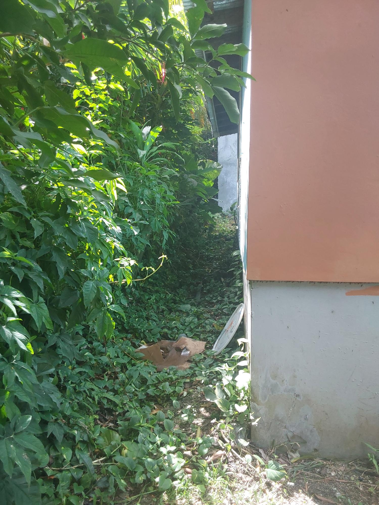 Multi-Family-Fixer-Upper-For-Sale-in-St.-James-Jamaica-–-Great-Investment-Opportunity Nineteenth image of 423 Pitfour Pen Granville St. in Paradise Heights, St. James, Jamaica - property is For Sale