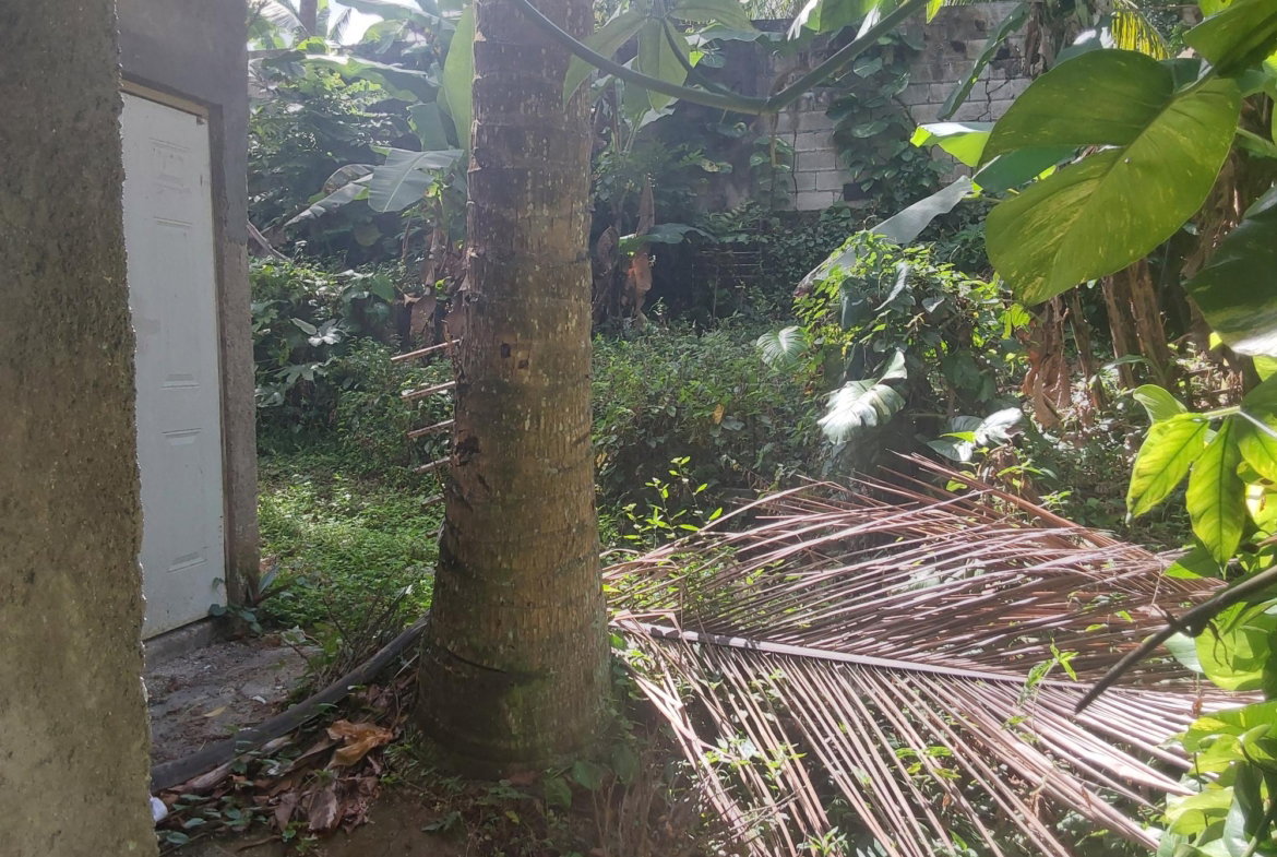 Twentieth image of 423 Pitfour Pen Granville St. in Paradise Heights, St. James, Jamaica - property is For Sale