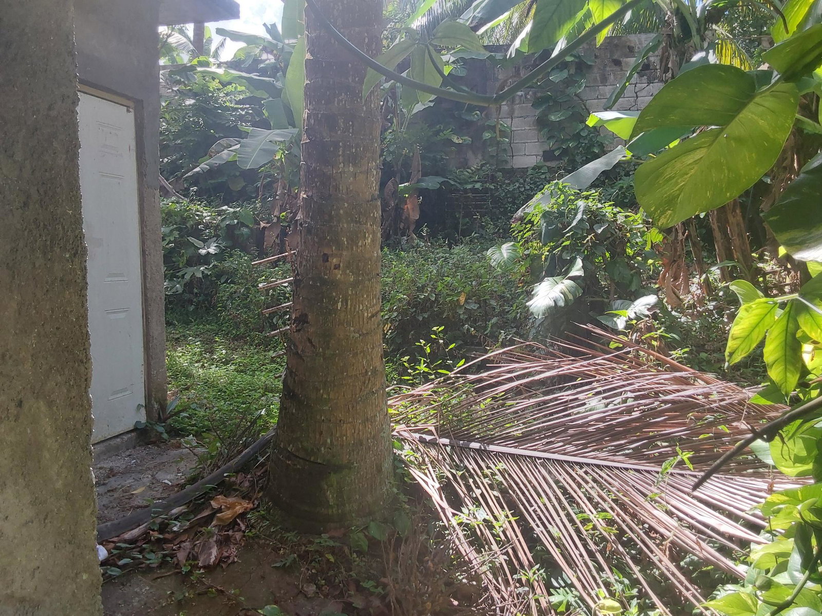 Multi-Family-Fixer-Upper-For-Sale-in-St.-James-Jamaica-–-Great-Investment-Opportunity Twentieth image of 423 Pitfour Pen Granville St. in Paradise Heights, St. James, Jamaica - property is For Sale