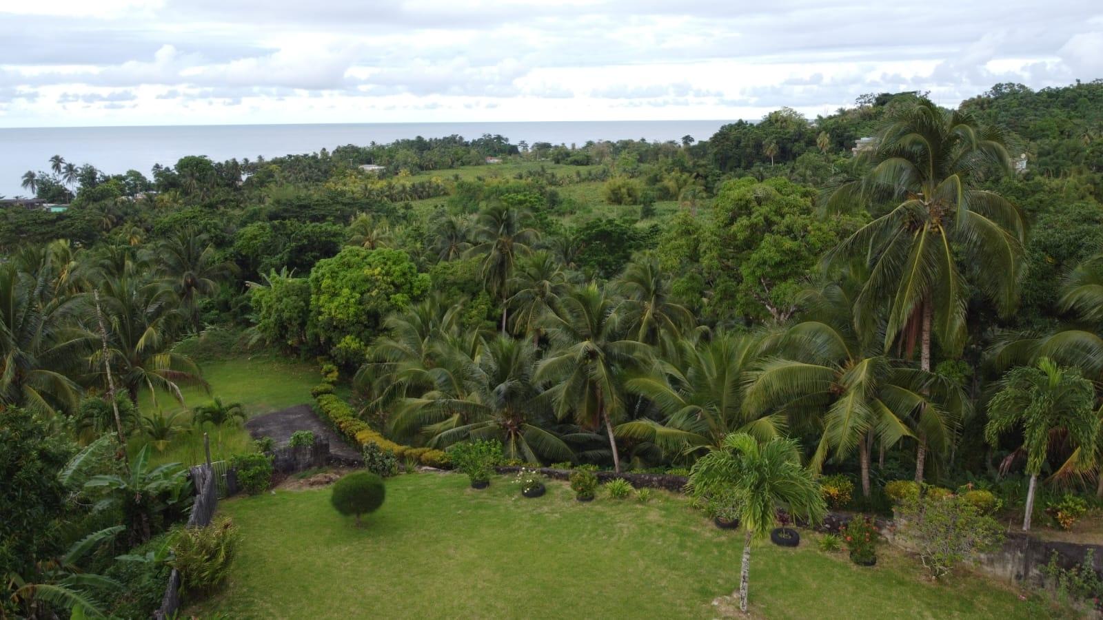 Twenty-Eighth image of St. Margret's Bay in St. Margaret's Bay, Portland, Jamaica - property is For Sale