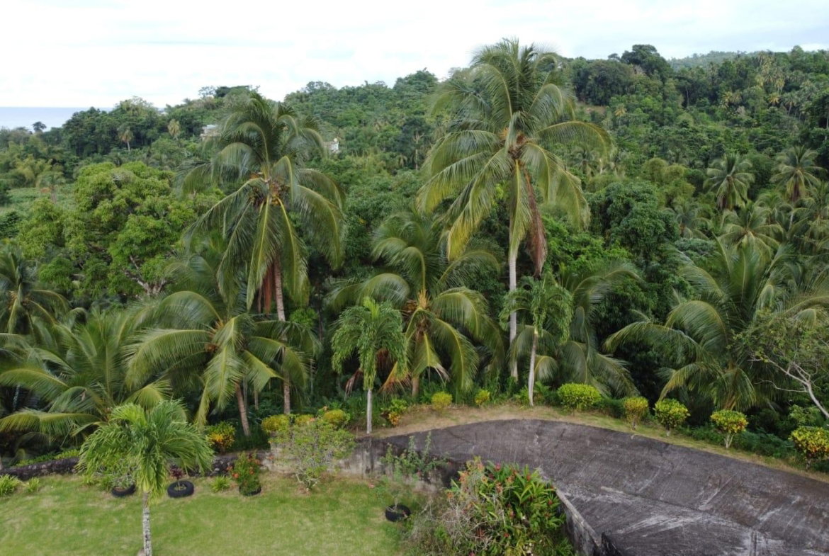 Twenty-Ninth image of St. Margret's Bay in St. Margaret's Bay, Portland, Jamaica - property is For Sale