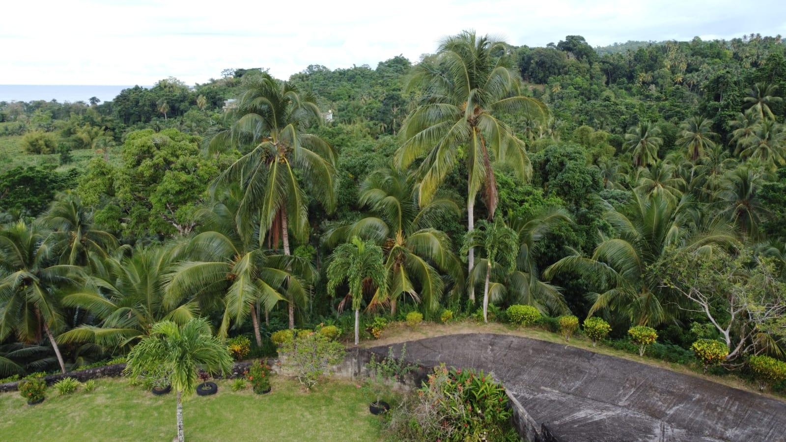 Twenty-Ninth image of St. Margret's Bay in St. Margaret's Bay, Portland, Jamaica - property is For Sale