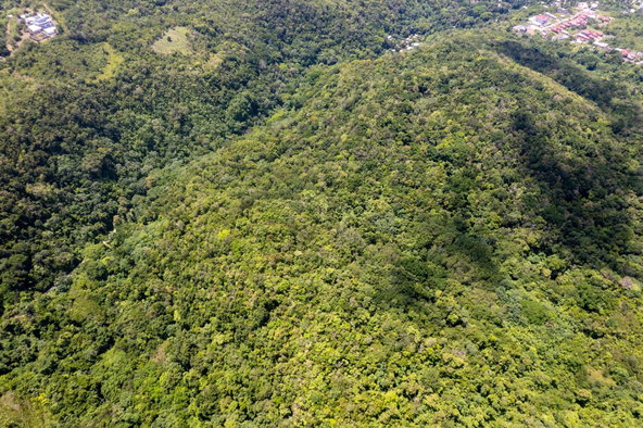 Second image of 2 Rocky Hill in Boscobel, St. Mary, Jamaica - property is For Sale