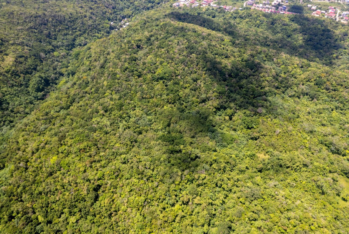 Third image of 2 Rocky Hill in Boscobel, St. Mary, Jamaica - property is For Sale