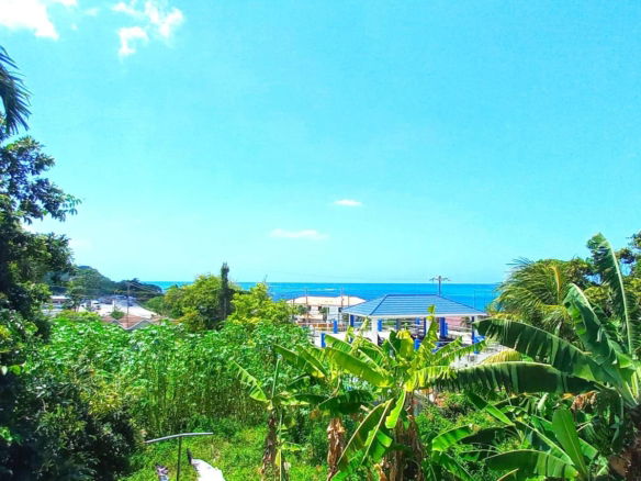 First image of 52 Lynfred Manor, Hopewell, in Hopewell, Hanover, Jamaica - property is For Sale