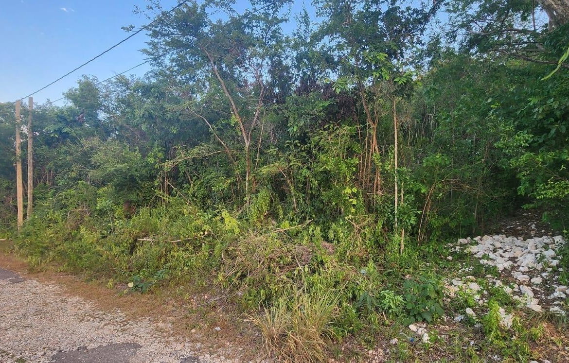 First image of Belgrade Avenue in Montego Bay, St. James, Jamaica - property is For Sale