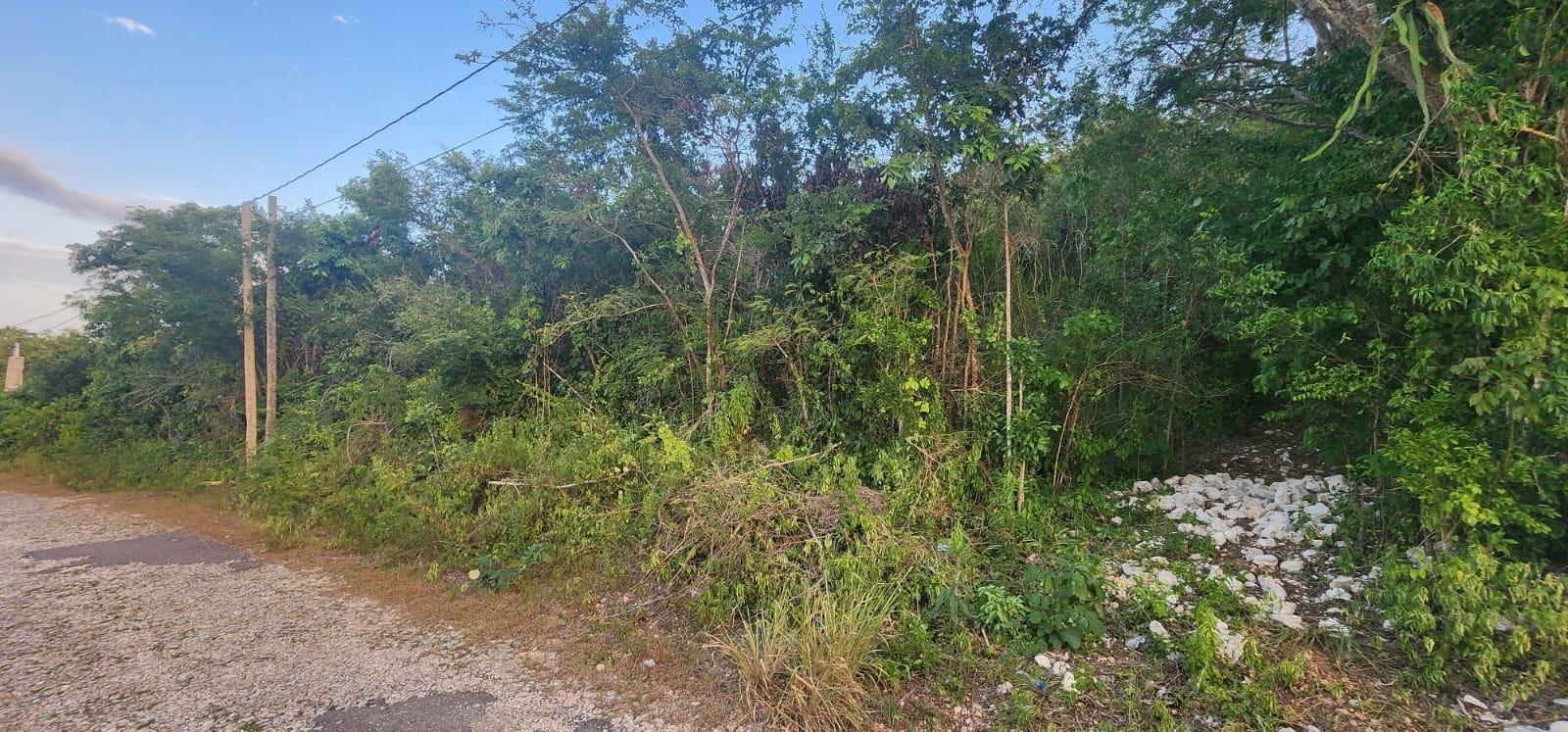 First image of Belgrade Avenue in Montego Bay, St. James, Jamaica - property is For Sale