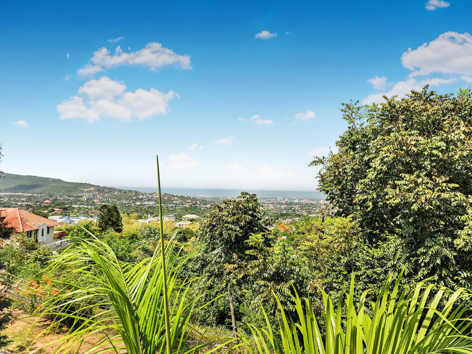 Prestigious-Jacks-Hill-Custom-Residence-for-Sale-–-Panoramic-Views-0.80-Acres-St.-Andrew-Jamaica Seventeenth image of 6 Ridgeway in Kingston 6, St. Andrew, Jamaica - property is For Sale