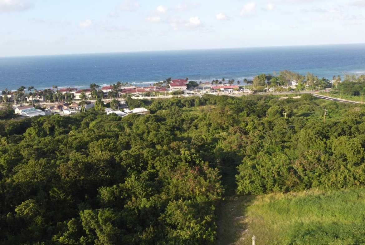 Twelfth image of Wiltshire Drive, Coral ga in Montego Bay, St. James, Jamaica - property is For Sale