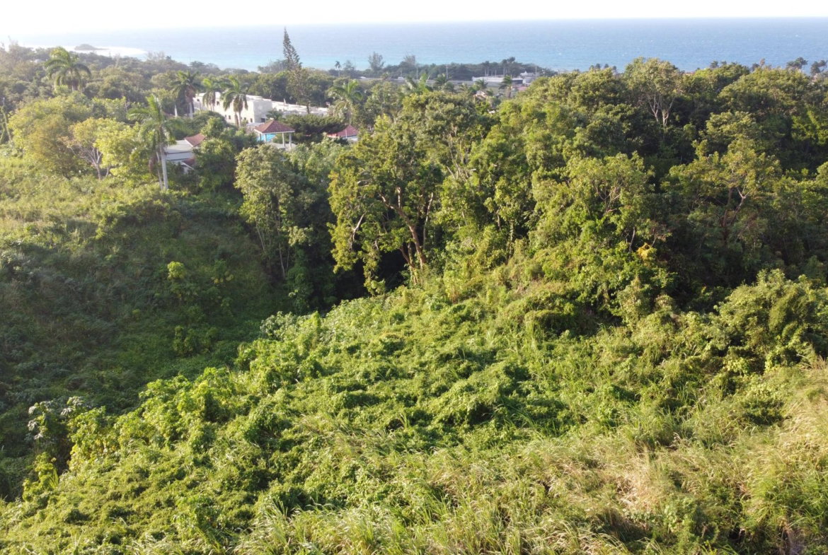 Eighteenth image of Wiltshire Drive, Coral ga in Montego Bay, St. James, Jamaica - property is For Sale