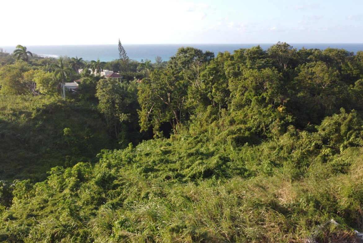 Nineteenth image of Wiltshire Drive, Coral ga in Montego Bay, St. James, Jamaica - property is For Sale