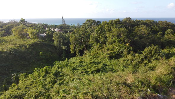 Nineteenth image of Wiltshire Drive, Coral ga in Montego Bay, St. James, Jamaica - property is For Sale