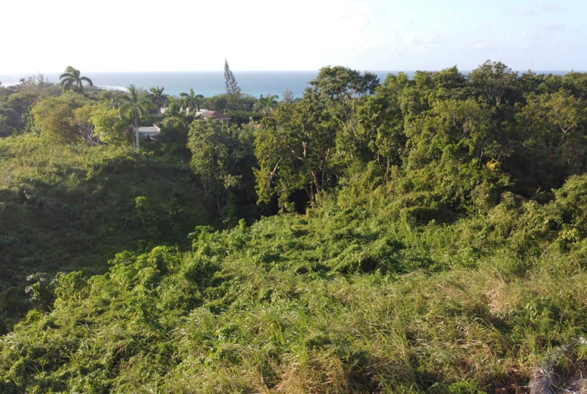 Twentieth image of Wiltshire Drive, Coral ga in Montego Bay, St. James, Jamaica - property is For Sale
