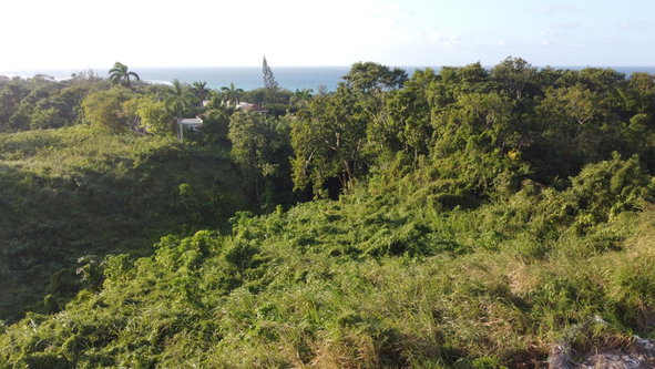 Twentieth image of Wiltshire Drive, Coral ga in Montego Bay, St. James, Jamaica - property is For Sale