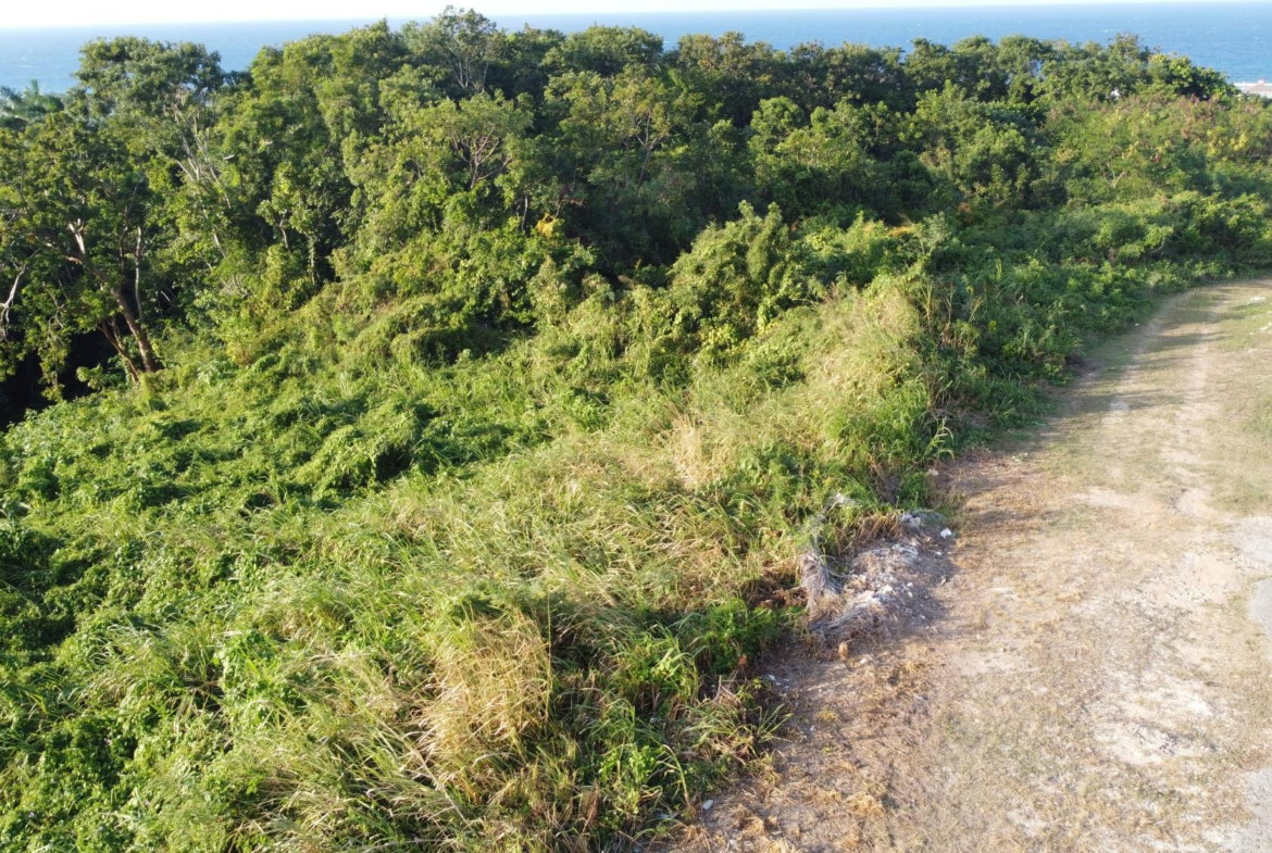 Sixth image of Wiltshire Drive, Coral ga in Montego Bay, St. James, Jamaica - property is For Sale