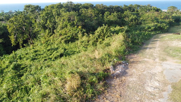 Sixth image of Wiltshire Drive, Coral ga in Montego Bay, St. James, Jamaica - property is For Sale