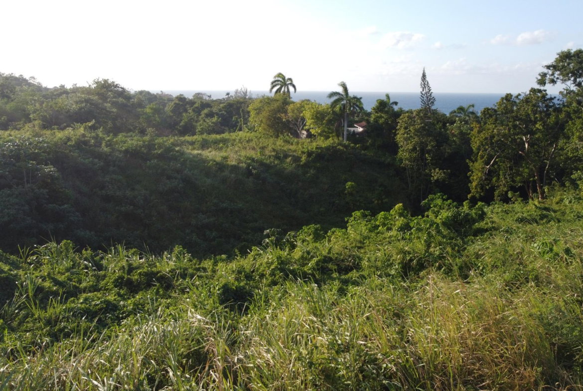 Seventh image of Wiltshire Drive, Coral ga in Montego Bay, St. James, Jamaica - property is For Sale