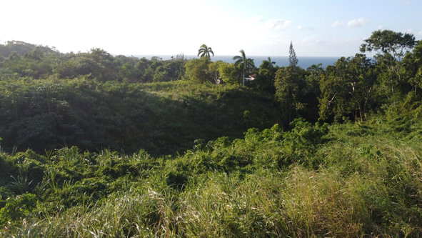 Seventh image of Wiltshire Drive, Coral ga in Montego Bay, St. James, Jamaica - property is For Sale