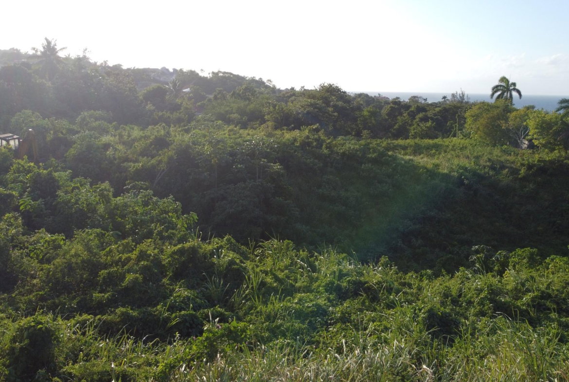 Eighth image of Wiltshire Drive, Coral ga in Montego Bay, St. James, Jamaica - property is For Sale