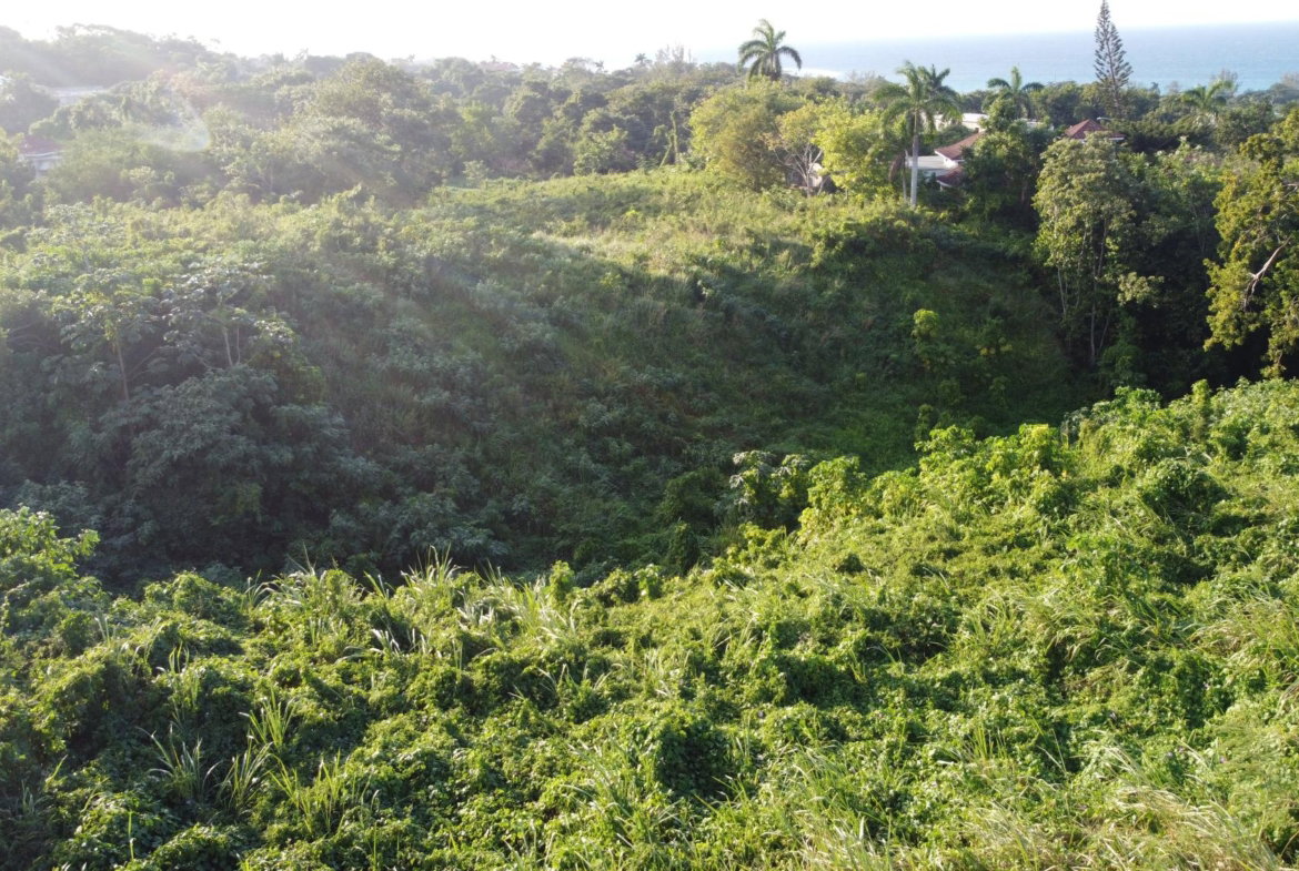 Ninth image of Wiltshire Drive, Coral ga in Montego Bay, St. James, Jamaica - property is For Sale