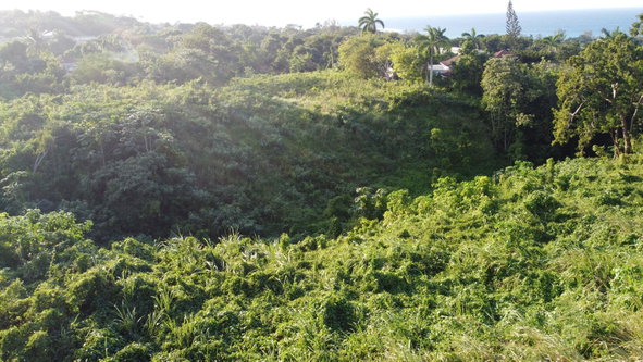 Ninth image of Wiltshire Drive, Coral ga in Montego Bay, St. James, Jamaica - property is For Sale