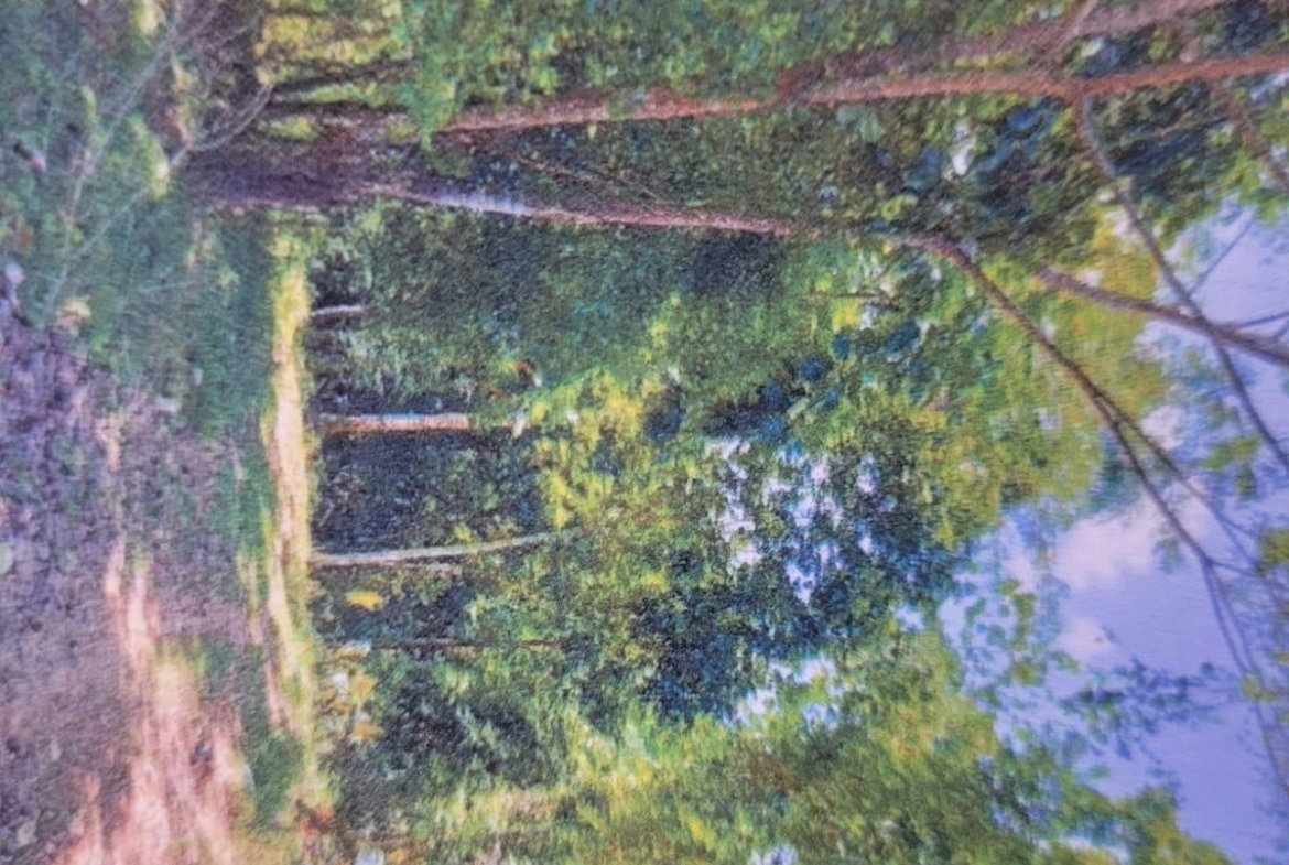 Fifth image of Land Part of Shenton, Bog in Bog Walk, St. Catherine, Jamaica - property is For Sale