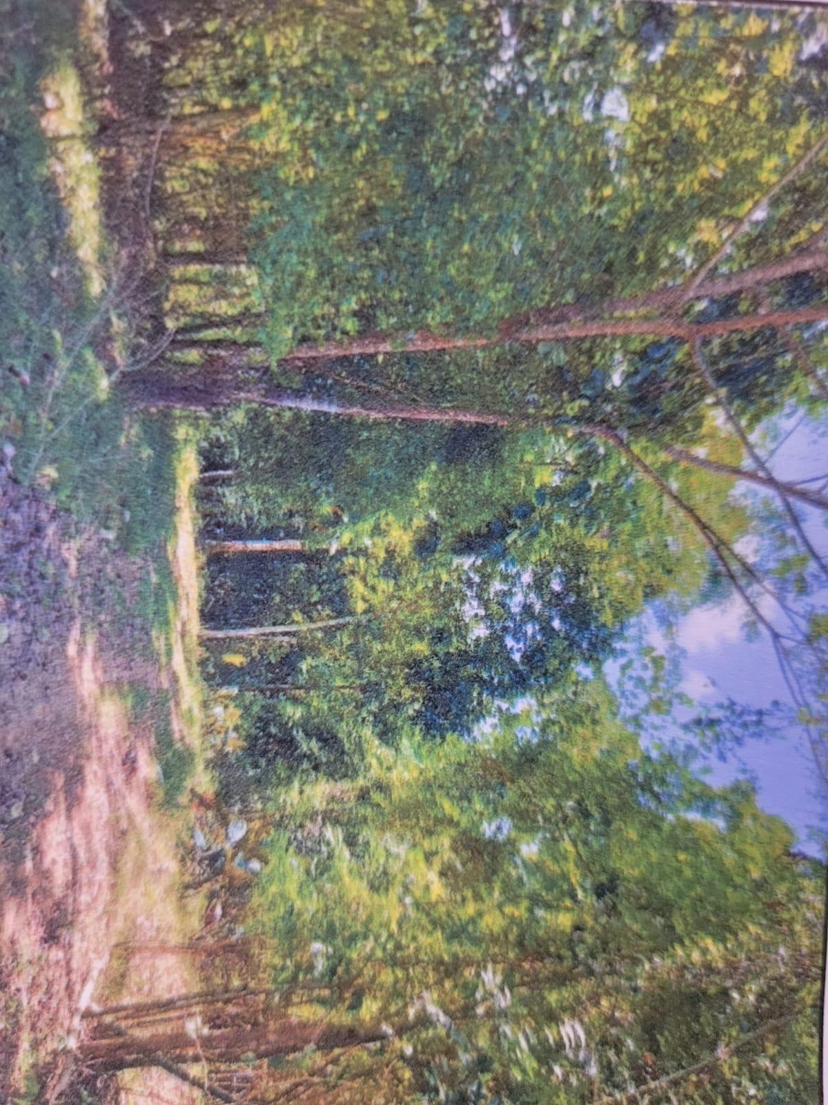 Fifth image of Land Part of Shenton, Bog in Bog Walk, St. Catherine, Jamaica - property is For Sale