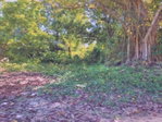 First image of Land Part of Shenton, Bog in Bog Walk, St. Catherine, Jamaica - property is For Sale