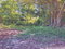 First image of Land Part of Shenton, Bog in Bog Walk, St. Catherine, Jamaica - property is For Sale