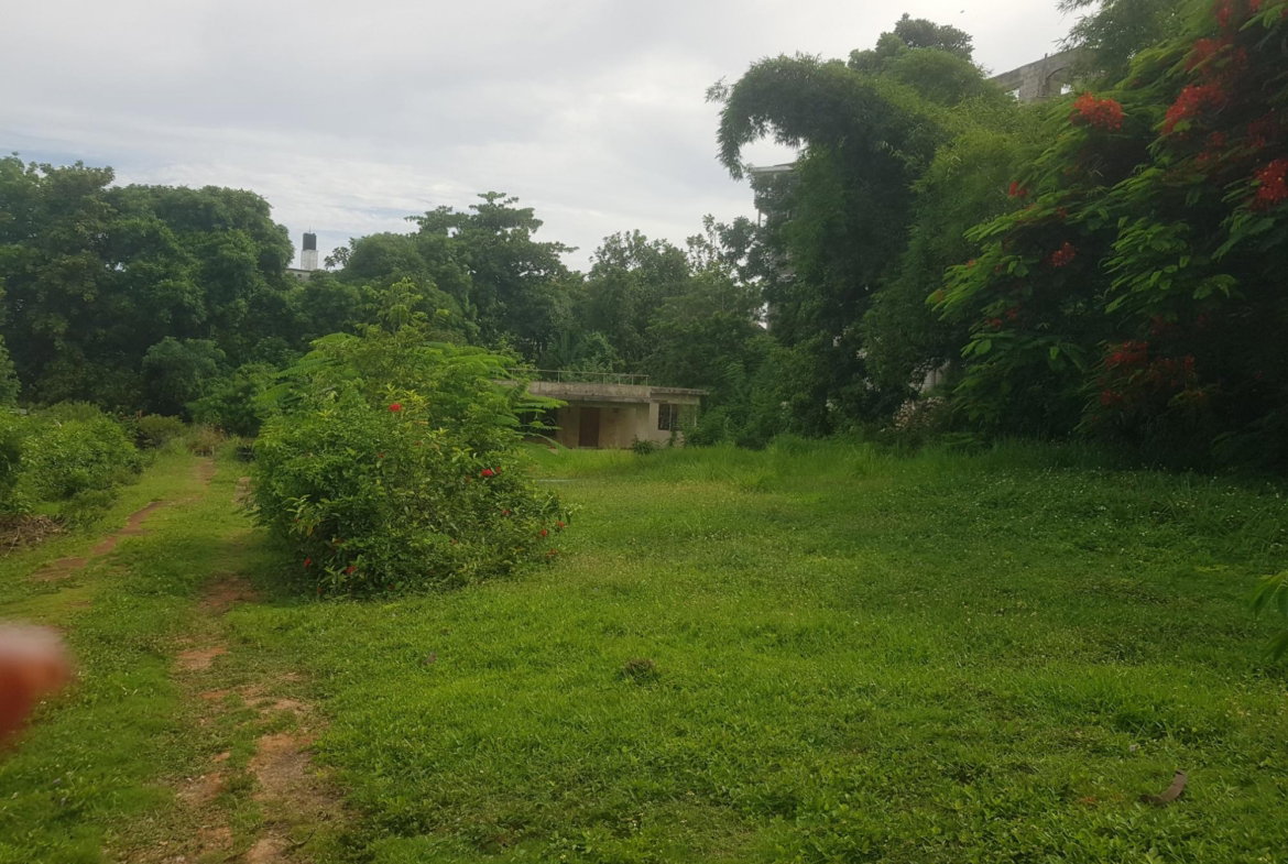 Third image of Leas Flat, Forrest Hills in Kingston 19, St. Andrew, Jamaica - property is For Sale