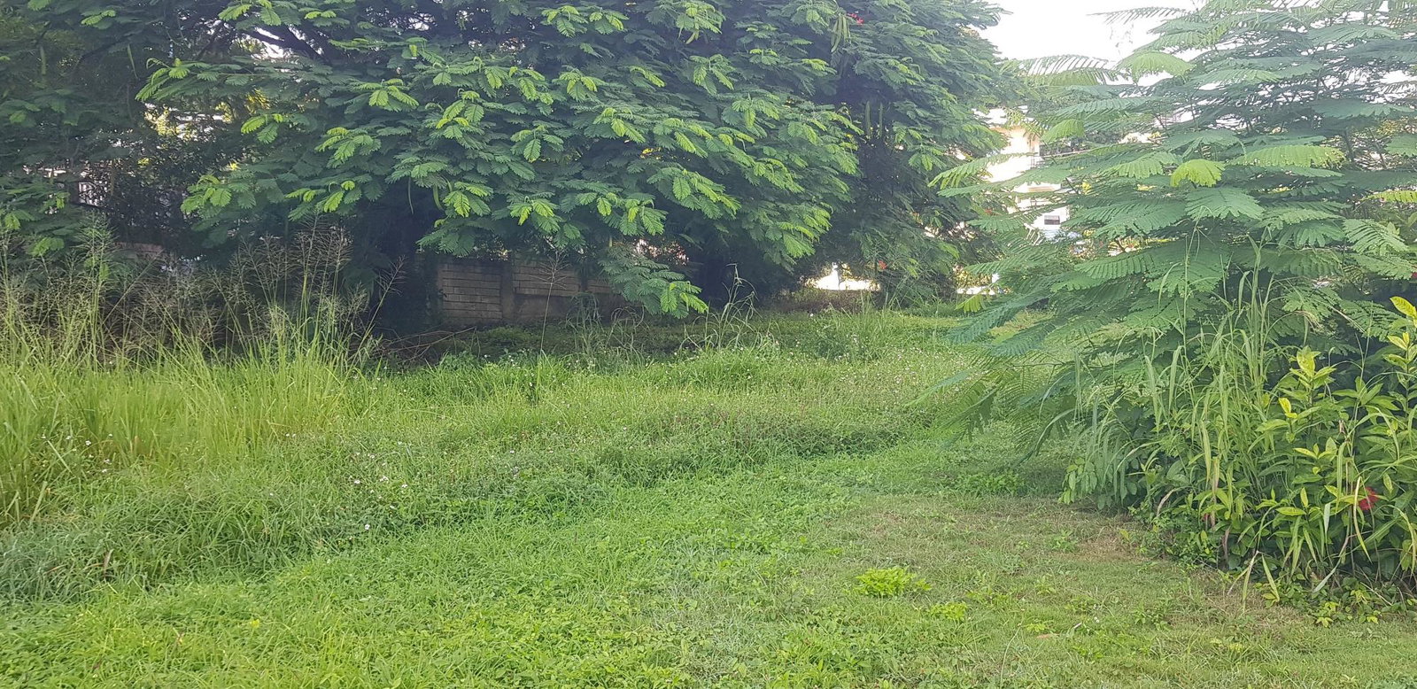 Prime-1-Acre-Development-Land-for-Sale-in-Leas-Flat-Forrest-Hills-St.-Andrew-Jamaica Eighth image of Leas Flat, Forrest Hills in Kingston 19, St. Andrew, Jamaica - property is For Sale
