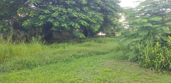 Eighth image of Leas Flat, Forrest Hills in Kingston 19, St. Andrew, Jamaica - property is For Sale