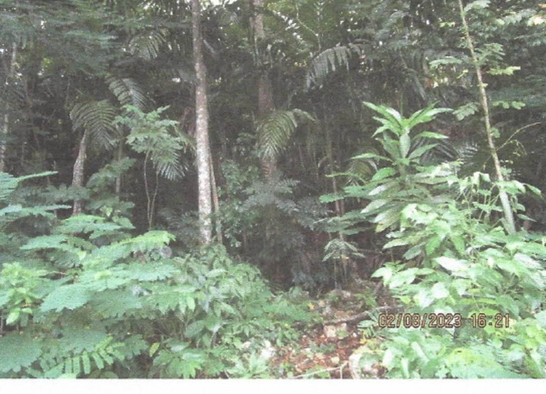 Second image of Valley Close & Panton Clo in Stony Hill P.O., St. Andrew, Jamaica - property is For Sale