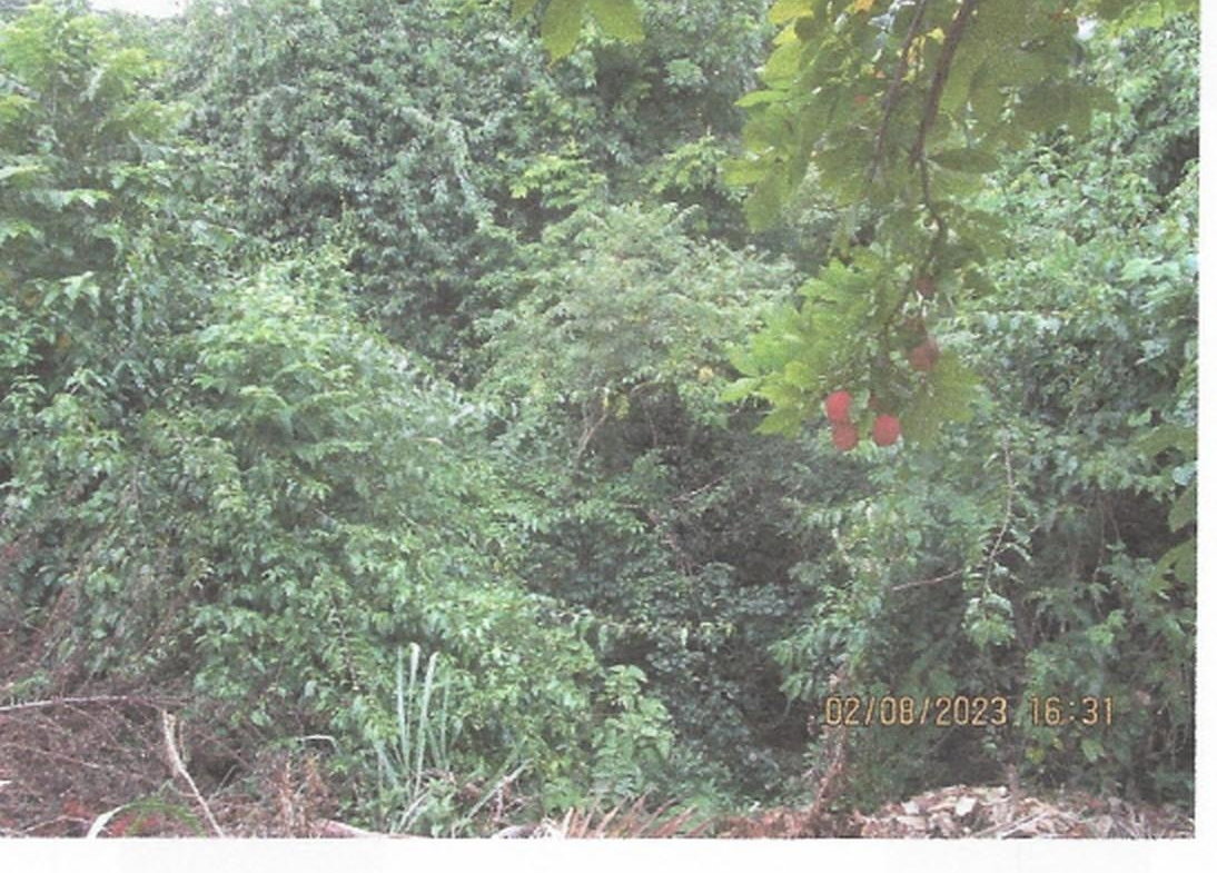 Third image of Valley Close & Panton Clo in Stony Hill P.O., St. Andrew, Jamaica - property is For Sale
