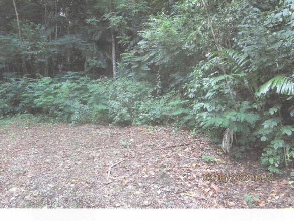 First image of Valley Close & Panton Clo in Stony Hill P.O., St. Andrew, Jamaica - property is For Sale