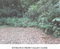 First image of Valley Close & Panton Clo in Stony Hill P.O., St. Andrew, Jamaica - property is For Sale
