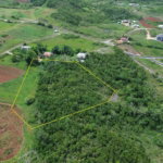 First image of 338 New Wales in Newport, Manchester, Jamaica - property is For Sale
