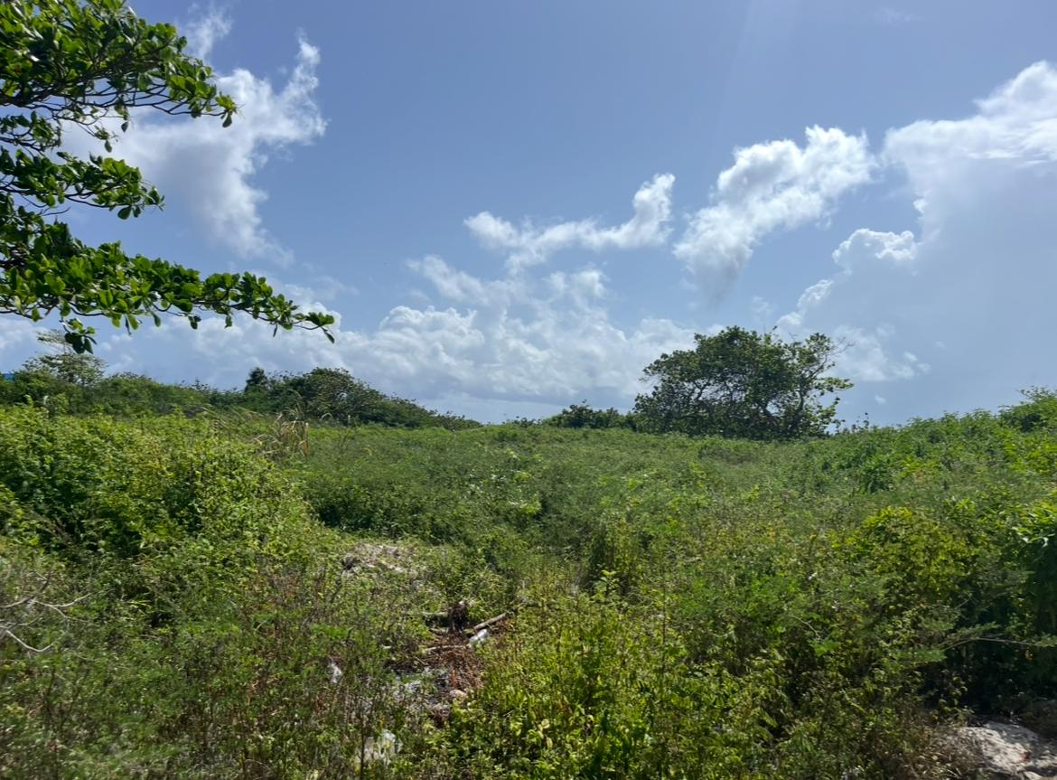 Second image of Three Miles Lane in Galina, St. Mary, Jamaica - property is For Sale