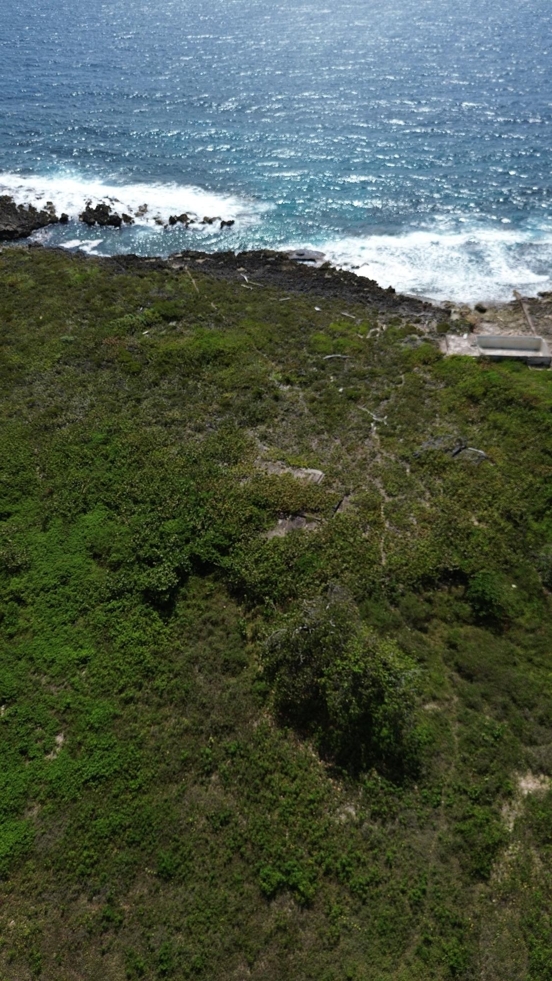 Eleventh image of Three Miles Lane in Galina, St. Mary, Jamaica - property is For Sale